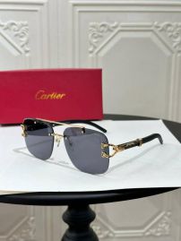Picture of Cartier Sunglasses _SKUfw55763983fw